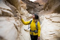 Trekker taking in sights, Death Valley National Park, California, US — Stock Photo
