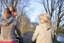 Rear view of women face to face cycling on tree lined road — Stock Photo