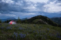 Tent set in mountainous landscape at dusk — Stock Photo