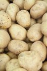 Close up shot of new potatoes pile — Stock Photo
