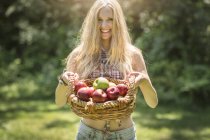 Портрет молодої жінки, що тримає кошик зі свіжих яблук в саду — стокове фото