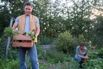 Жінка збирає врожаї на фермі, чоловік тримає ящик врожаю — стокове фото
