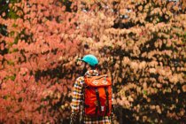 Young man in rural setting, carrying backpack, rear view — Stock Photo