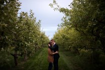 Romantica coppia adulta che abbraccia nel frutteto — Foto stock