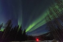 Vista de árboles siluetas y aurora boreal por la noche - foto de stock