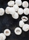 Vista superior de cogumelos brancos no fundo escuro — Fotografia de Stock