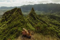 Vista trasera de amigos en la montaña cubierta de hierba, Oahu, Hawaii, EE.UU. - foto de stock