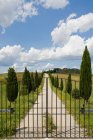 Gate and cypress trees under blue sky in siena — Stock Photo