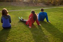 Drei junge Freunde sitzen auf Gras im Park, Rückansicht — Stockfoto