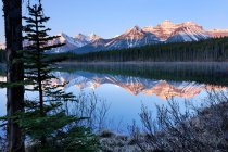 Herbert Lake et Bow Range — Photo de stock