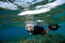 Couple views coral reef — Stock Photo