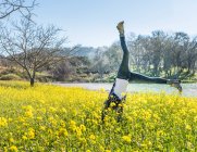 Mulher madura fazendo cartwheel no campo de flores silvestres, Paso Robles, California, USA — Fotografia de Stock