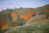 Dolci colline con cielo blu, California, Stati Uniti d'America — Foto stock