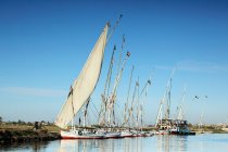 Felucca boats moored on river nile — Stock Photo