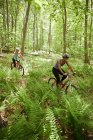 Dos ciclistas femeninas en el bosque - foto de stock
