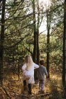 Rückansicht von Geschwistern, die Händchen haltend im Wald spazieren gehen — Stockfoto
