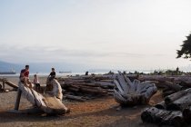 Familia sentada en la escultura de madera en la playa, Vancouver, Columbia Británica, Canadá - foto de stock