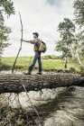 Vista lateral do menino adolescente usando tampa plana em pé na árvore caída através do rio segurando ramo olhando para longe — Fotografia de Stock