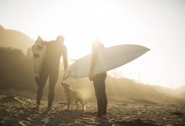 Surfeurs avec chien au soleil tenant des planches de surf sur la plage, Malibu, Californie, États-Unis — Photo de stock