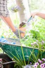 Mother and son potting plants outdoors — Stock Photo