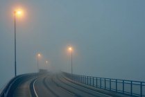 Diminishing perspective of misty road illuminated by street lights — Stock Photo