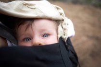 Baby girl in carrier, portrait — Stock Photo