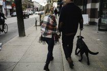 Молода пара гуляє з собакою вздовж вулиці, вид ззаду — стокове фото