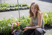 Жінка в плодово-овочевому стійлі Холдинг трави рослини — стокове фото