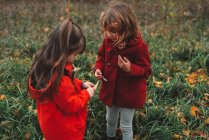 Two young sisters looking at wildflower pods in field — Stock Photo