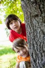 Два мальчика прячутся за деревом крупным планом — стоковое фото