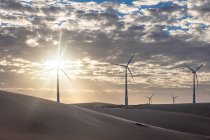 Ветряные турбины в пустыне — стоковое фото