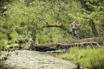 Мальчик-подросток, стоящий на упавшем дереве у реки — стоковое фото