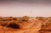 Пустеля в Північної Арізони — стокове фото