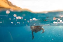 Femme nageant sous l'eau, Oahu, Hawaï, USA — Photo de stock