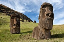 Estátuas de Moai, rano raraku — Fotografia de Stock
