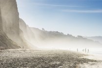 Vista lejana de los surfistas en la playa brumosa, Black Beach, La Jolla, California, EE.UU. - foto de stock