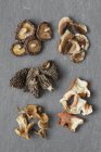 Шитаке, Порчини, Морель, Еж, Лобстер сушеные грибы — стоковое фото