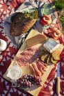 Вид сверху на свежую еду для пикника с сыром, салями и виноградом — стоковое фото