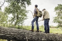 Вид сзади на мужчину и мальчика в плоских шапках, стоящих на упавшем дереве с ветвями — стоковое фото
