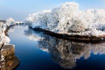 Речной Шаннон зимой — стоковое фото