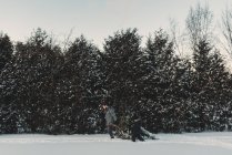 Padre e figlia fuori a prendere il proprio albero di Natale — Foto stock