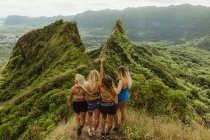 Rear view of friends on grass covered mountain, Oahu, Hawaii, USA — Stock Photo