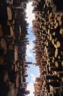 Bottom view of stacked timber under blue cloudy sky — Stock Photo