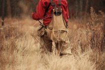 Вид сзади на охотника на перепелов, идущего через высокую кисть — стоковое фото