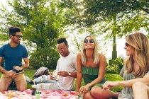Cinco amigos adultos fazendo piquenique no parque — Fotografia de Stock