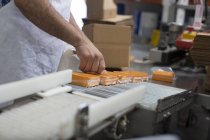 Image recadrée homme emballage fromage végétalien dans l'entrepôt — Photo de stock