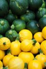 Gelbe und grüne Zucchini — Stockfoto