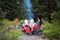 Grupo de amigos haciendo picnic en el bosque - foto de stock