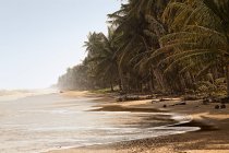Серфінг на тропічному пляжі — стокове фото