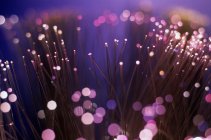 Cabos de fibra óptica iluminados com luz de néon — Fotografia de Stock
